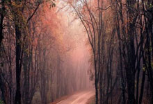 里瓦尔多：内马尔会在夏天去欧洲豪门；想看到小蜘蛛加盟巴萨.