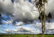 世预赛-阿根廷4-1大胜巴西 恩佐传射小蜘蛛破门.