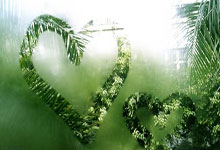 大发娱乐官网：网球——墨西哥公开赛：马哈奇晋级半决赛.