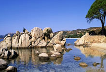 世预赛-阿根廷4-1大胜巴西 恩佐传射小蜘蛛破门.